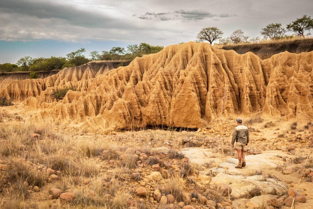 Donga-trail-2-1024x683