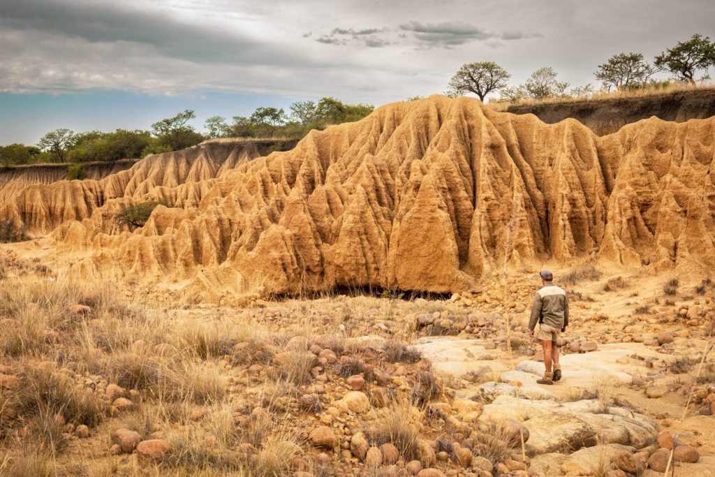 Donga-trail-2-e1701683056527