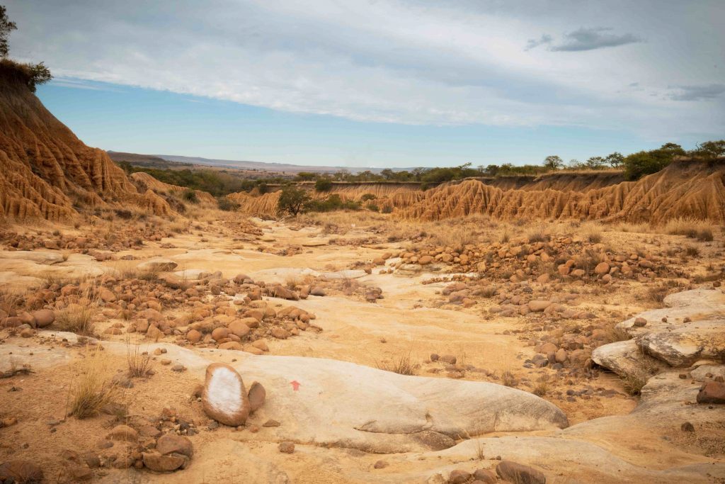 Donga-trail-3-trip-1024x683