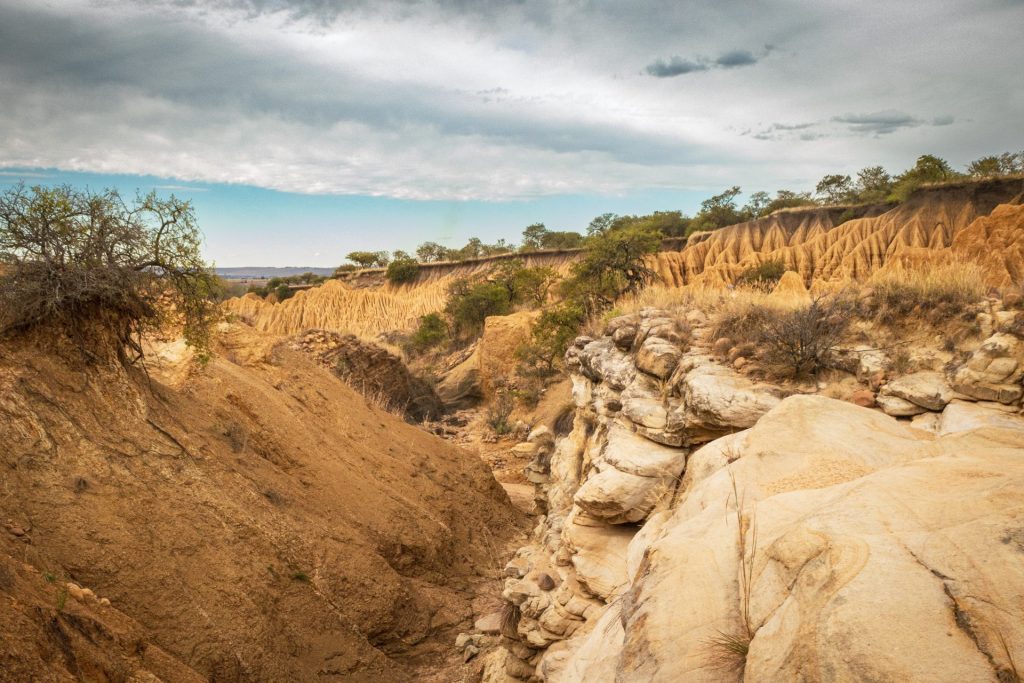 Donga-trail-4-e1701682648691