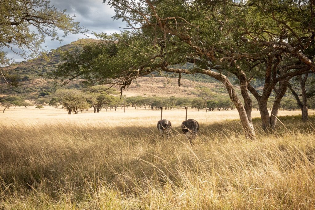 Donga-trail-5-e1701682419761