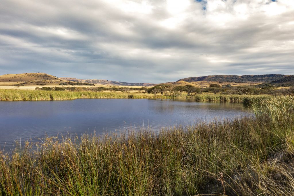 Donga-trail-6-e1701682006910