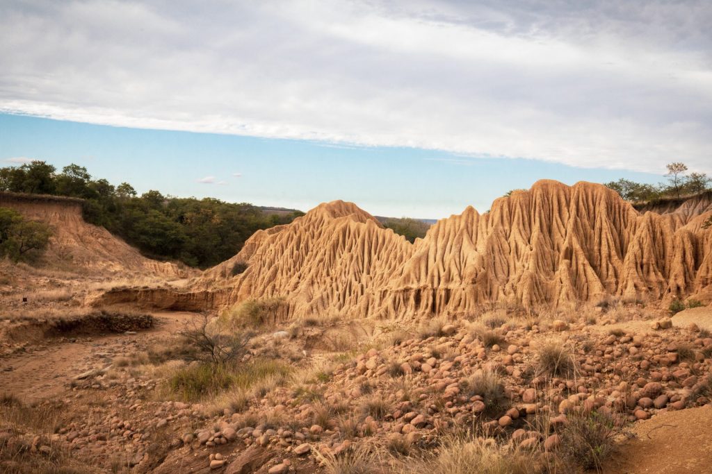 Donga-trail-7-e1701681924793