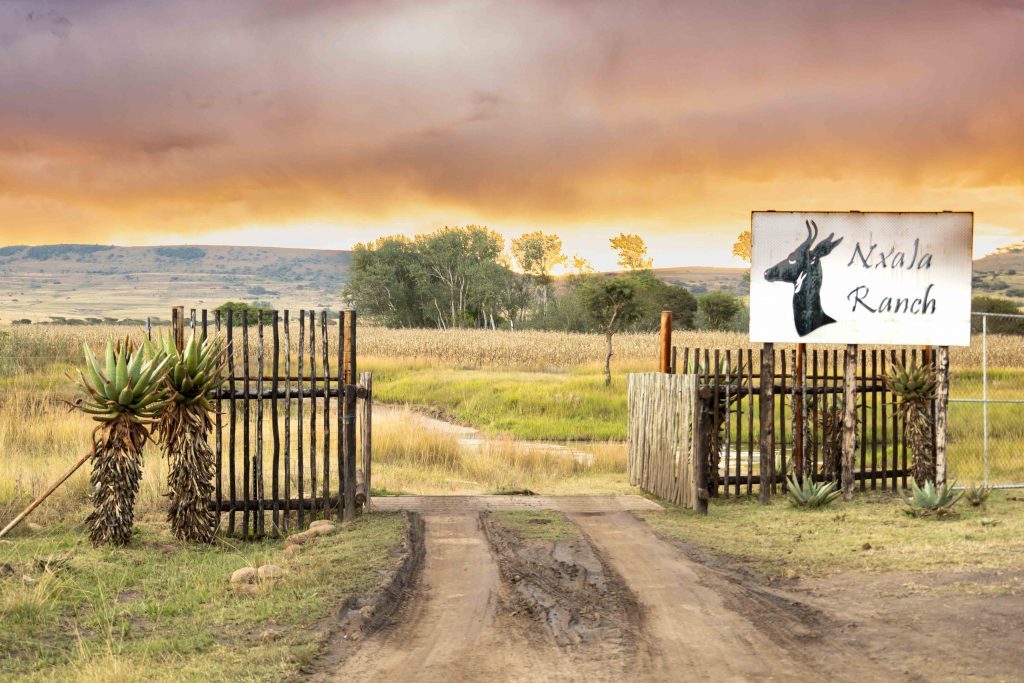 Main-gate-1-trip-1024x683