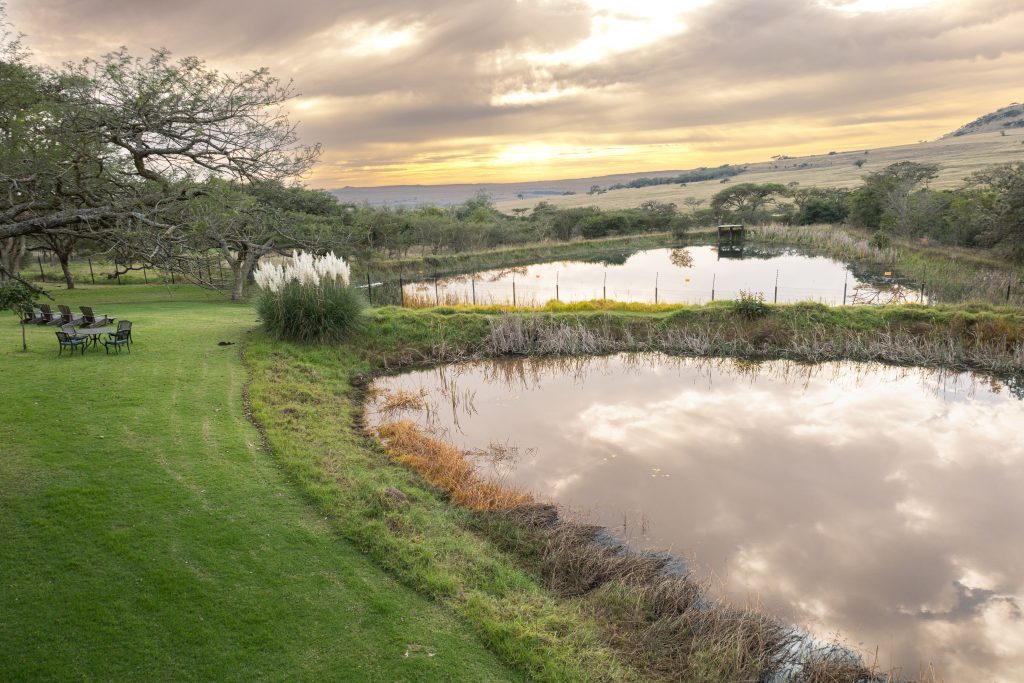 View-from-balcony-1-1024x683