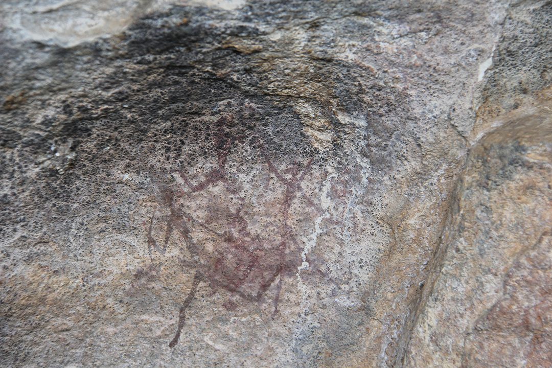 sanrockart
